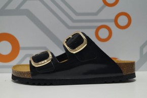SCHOLL NOELLE