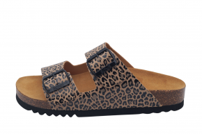 SCHOLL JOSEPHINE
