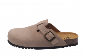 SCHOLL OLIVIER