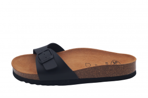 SCHOLL ESTELLE
