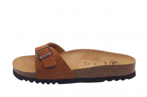 SCHOLL ESTELLE