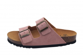 SCHOLL JOSEPHINE