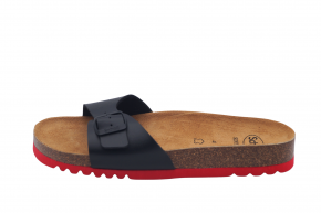 SCHOLL SIMON