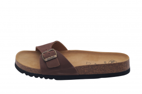 SCHOLL SIMON