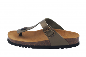 SCHOLL NICOLE