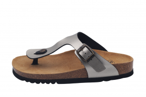 SCHOLL NICOLE