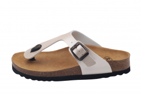 SCHOLL NICOLE