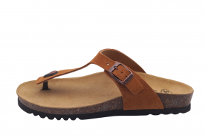 SCHOLL NICOLE