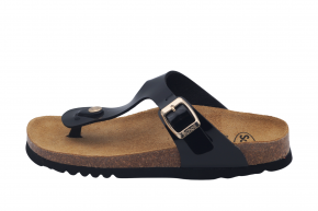 SCHOLL NICOLE