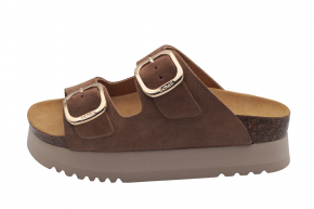 SCHOLL LUCIE