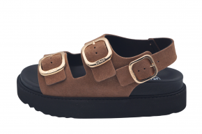 SCHOLL BLAKE