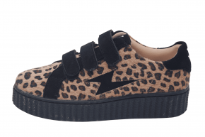 V.WU ALIA