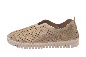 ISLE JACOBSEN TULIP 3223