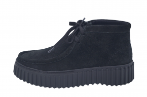 CLARKS TORHILL MOSS