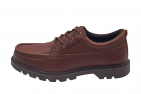 CAT COLORADO MOC  LOW