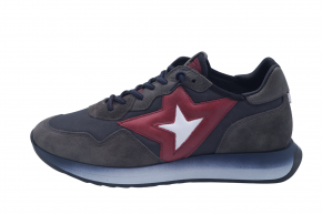 CETTI 1311 ANTE