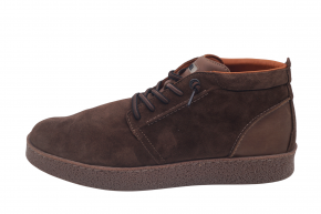 CETTI 1366