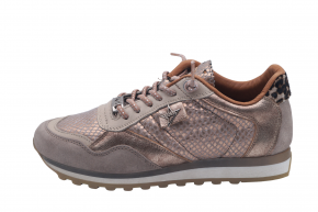 CETTI C848 SRA SNAKE