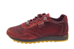 CETTI ANTE SWEET 848 SRA