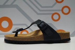 SCHOLL NICOLE
